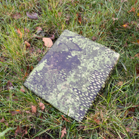 Prototype of Starlink Mini Cover